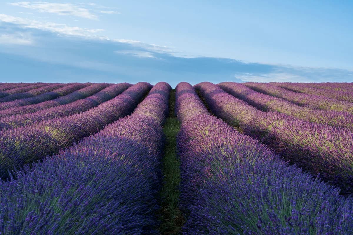 Editorial travel scenery — France