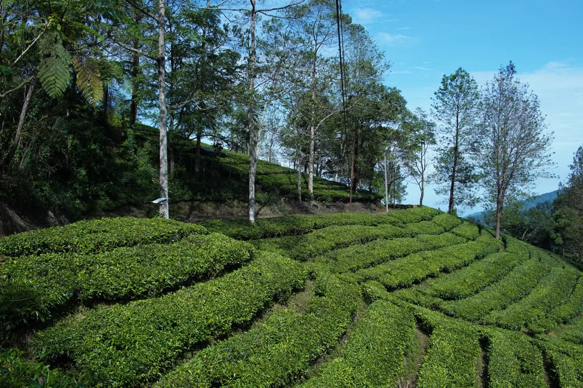 Editorial travel scenery — Sri Lanka