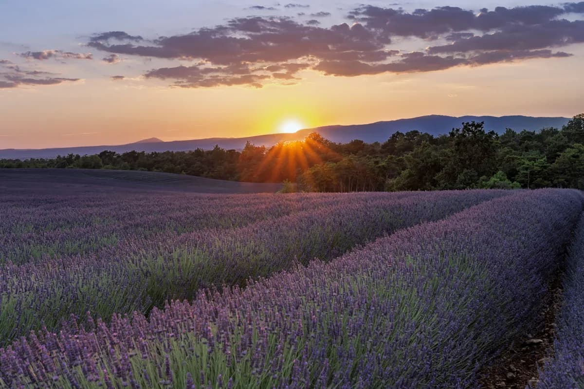 Editorial travel scenery — France