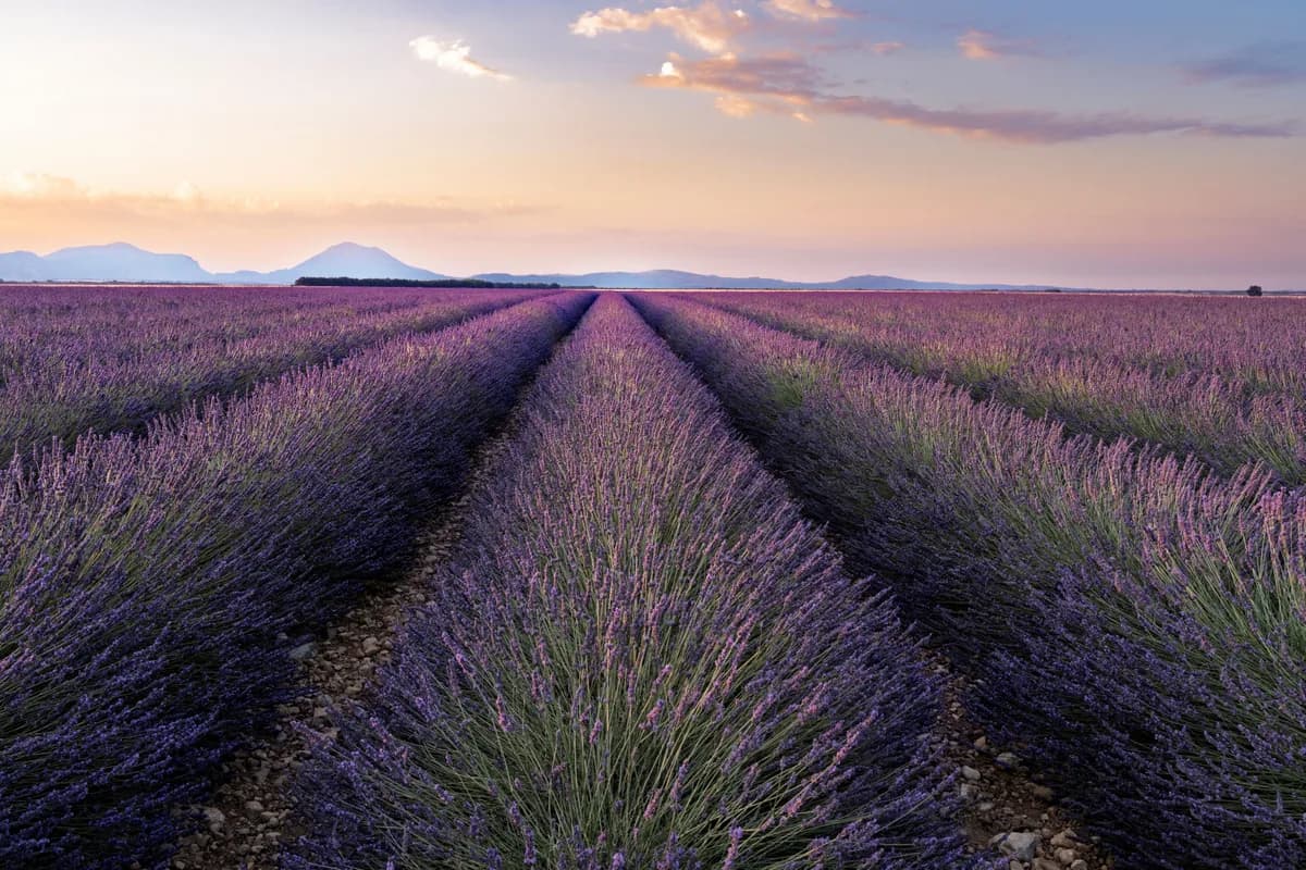 Editorial travel scenery — France