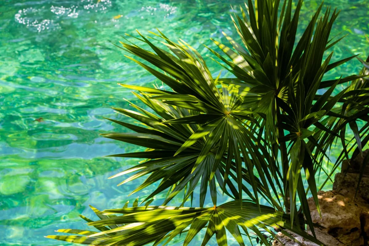 Editorial travel scenery — Mexico
