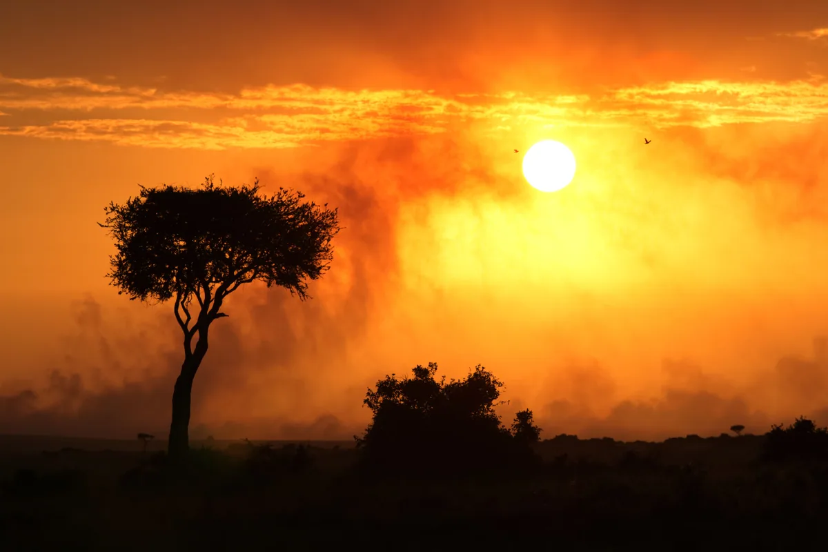 Editorial travel scenery — Kenya