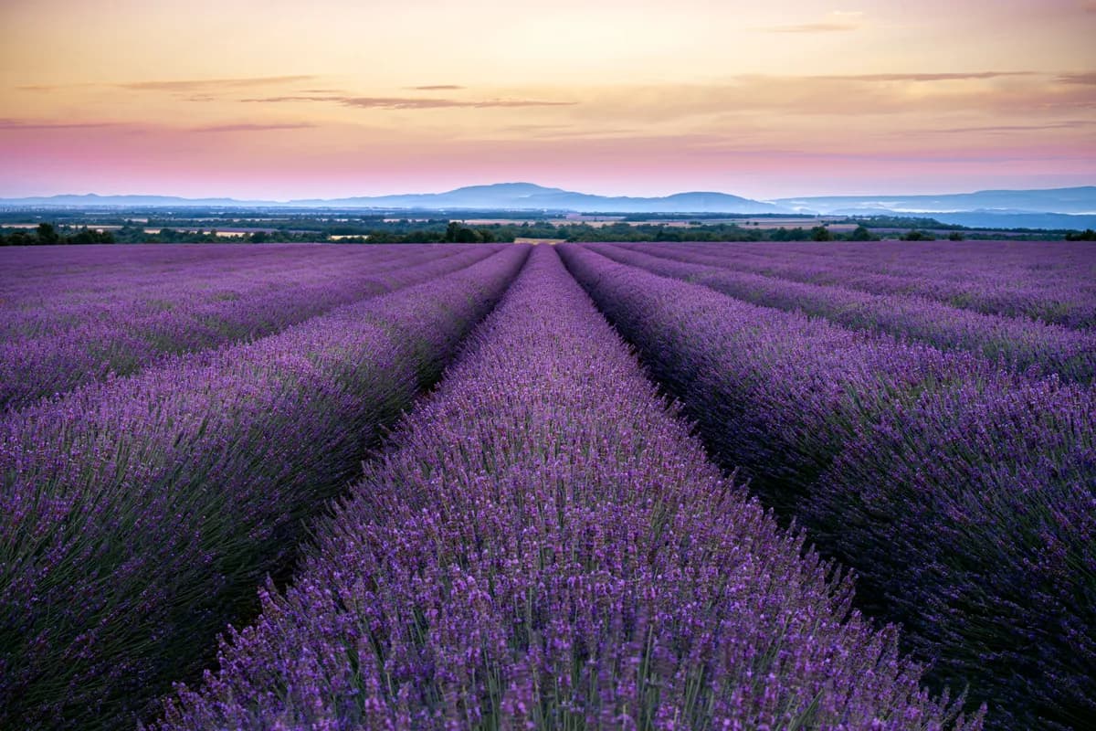 Editorial travel scenery — France