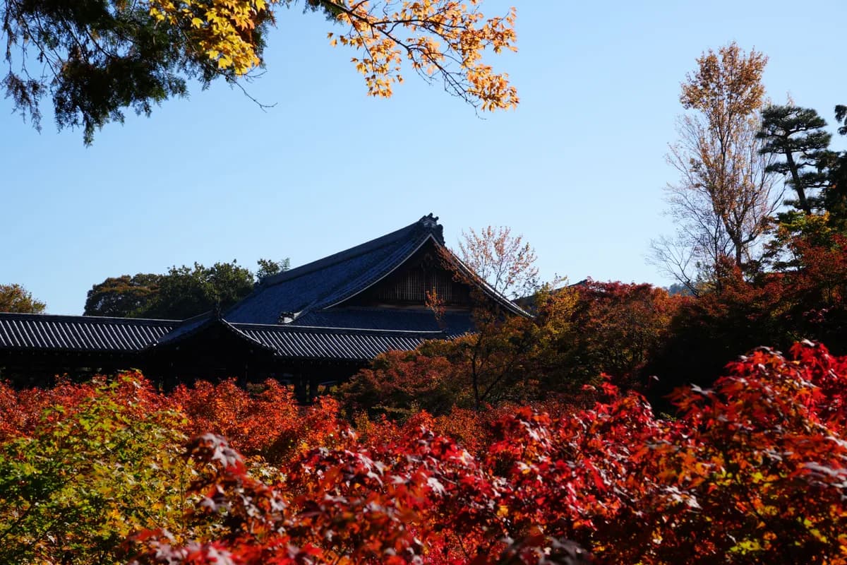Editorial travel scenery — Japan