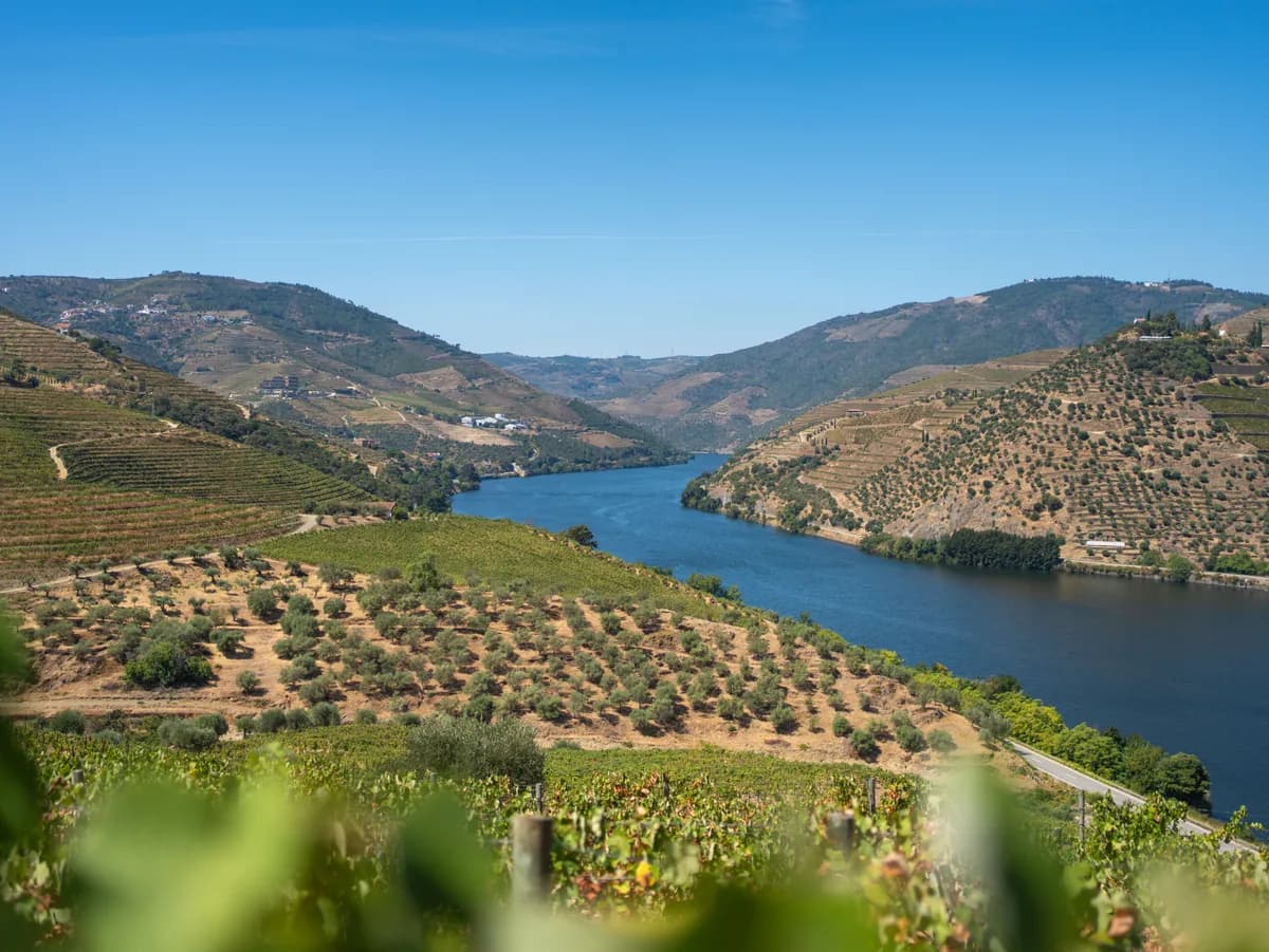 Beautiful view of the Douro River flanked by vineyards in Porto, Portugal.